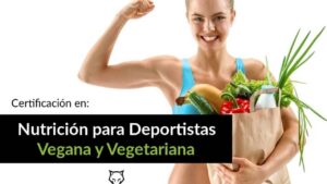 Carreras prácticas