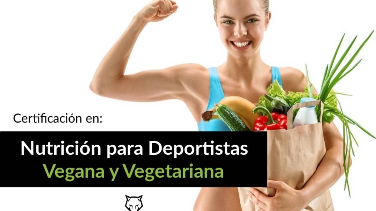 Carreras prácticas