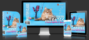 Carreras prácticas