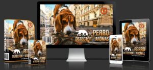 carreraspracticas.com
