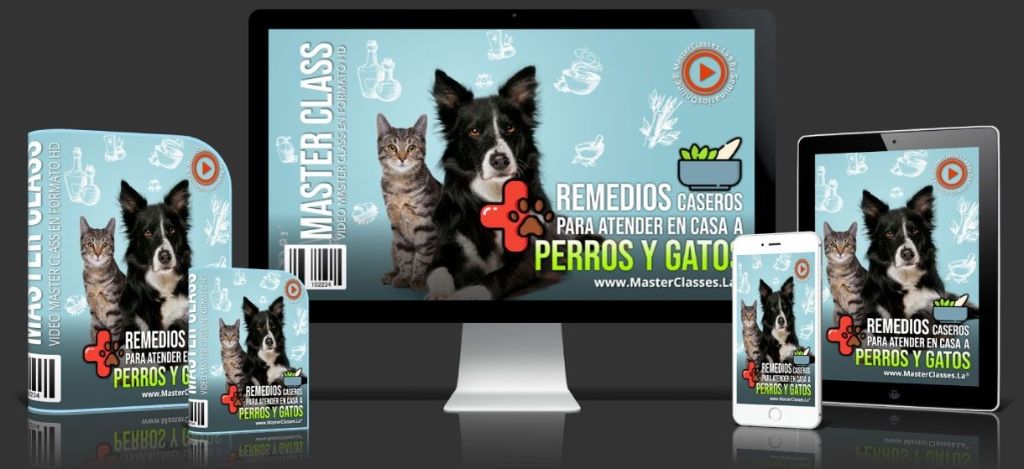 Remedios Caseros Para Atender en Casa a Perros y Gatos